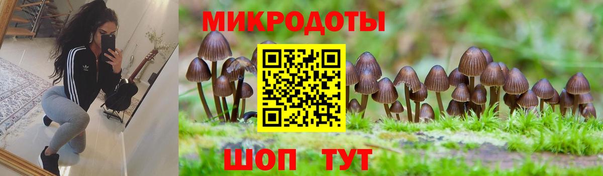 Новотроицк  наркошоп  Вход с VPN  Псилоцибиновые грибы Cubensis 